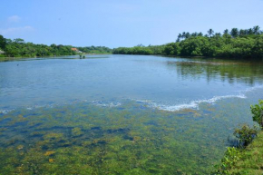 Отель Rock Pool Residence  Tangalla